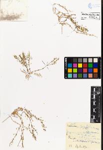 SW_BNB_s3020-00265_IMG-0000000001