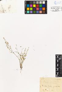 SW_BNB_s3020-00267_IMG-0000000001