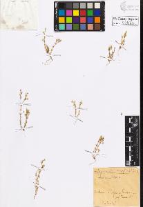 SW_BNB_s3020-00268_IMG-0000000001