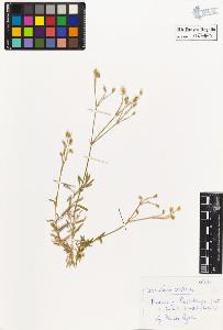 SW_BNB_s3020-00276_IMG-0000000001