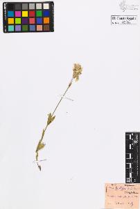SW_BNB_s3020-00279_IMG-0000000001