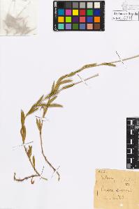 SW_BNB_s3020-00281_IMG-0000000001