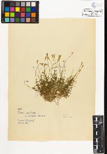 SW_BNB_s3020-00285_IMG-0000000001