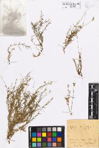 SW_BNB_s3020-00286_IMG-0000000001
