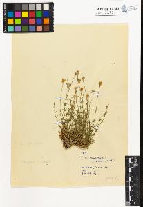 SW_BNB_s3020-00288_IMG-0000000001
