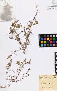 SW_BNB_s3020-00293_IMG-0000000001