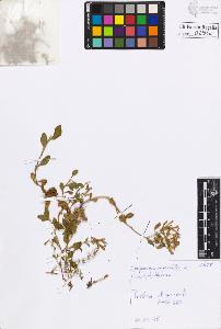 SW_BNB_s3020-00294_IMG-0000000001
