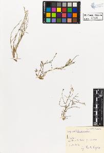 SW_BNB_s3020-00300_IMG-0000000001