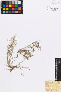 SW_BNB_s3020-00301_IMG-0000000001