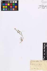 SW_BNB_s3020-00302_IMG-0000000001