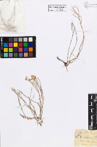 SW_BNB_s3020-00303_IMG-0000000001