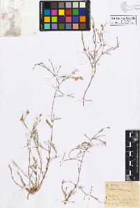 SW_BNB_s3020-00304_IMG-0000000001