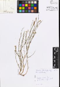 SW_BNB_s3020-00306_IMG-0000000001