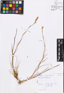 SW_BNB_s3020-00314_IMG-0000000001
