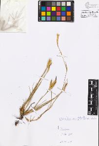 SW_BNB_s3020-00315_IMG-0000000001