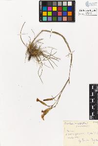 SW_BNB_s3020-00319_IMG-0000000001
