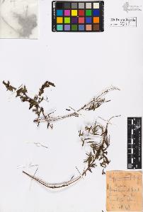 SW_BNB_s3020-00322_IMG-0000000001