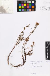 SW_BNB_s3020-00326_IMG-0000000001