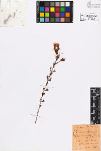 SW_BNB_s3020-00327_IMG-0000000001