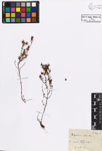 SW_BNB_s3020-00333_IMG-0000000001