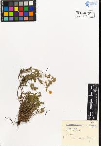 SW_BNB_s3020-00343_IMG-0000000001