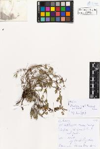 SW_BNB_s3020-00351_IMG-0000000001