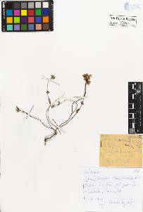 SW_BNB_s3020-00360_IMG-0000000001