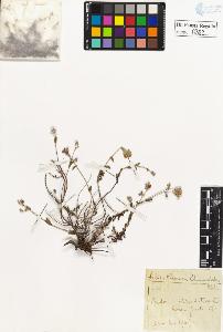SW_BNB_s3020-00362_IMG-0000000001