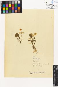 SW_BNB_s3020-00376_IMG-0000000001