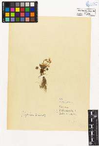 SW_BNB_s3020-00377_IMG-0000000001