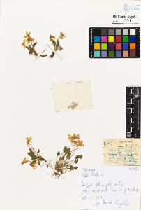 SW_BNB_s3020-00378_IMG-0000000001
