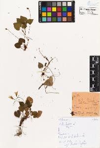 SW_BNB_s3020-00381_IMG-0000000001