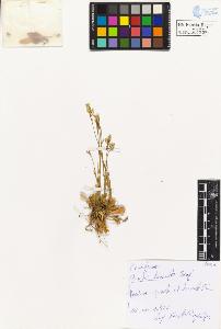 SW_BNB_s3020-00388_IMG-0000000001