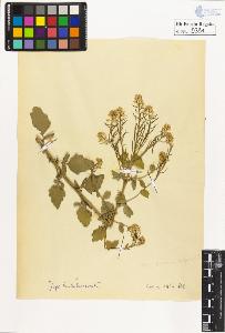 SW_BNB_s3020-00394_IMG-0000000001