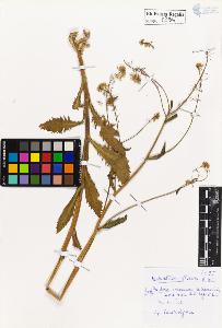 SW_BNB_s3020-00398_IMG-0000000001
