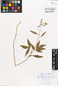 SW_BNB_s3020-00402_IMG-0000000001