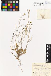 SW_BNB_s3020-00405_IMG-0000000001