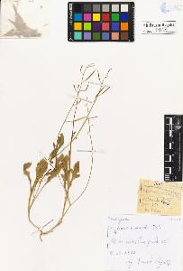SW_BNB_s3020-00406_IMG-0000000001