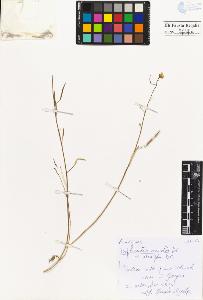 SW_BNB_s3020-00407_IMG-0000000001