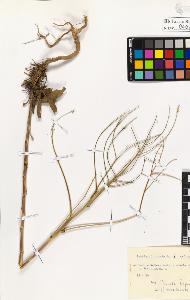 SW_BNB_s3020-00410_IMG-0000000001