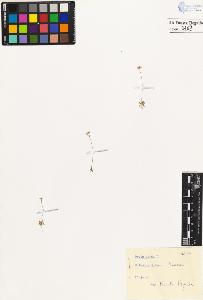 SW_BNB_s3020-00412_IMG-0000000001