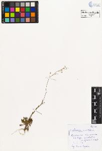 SW_BNB_s3020-00414_IMG-0000000001