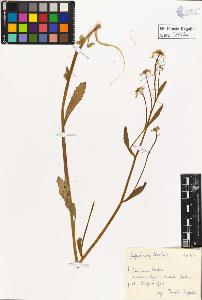 SW_BNB_s3020-00416_IMG-0000000001