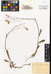 SW_BNB_s3020-00429_IMG-0000000001