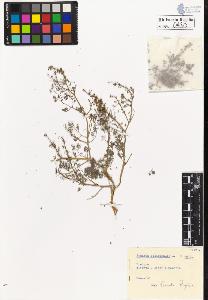 SW_BNB_s3020-00433_IMG-0000000001