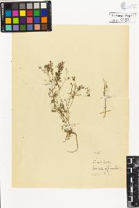 SW_BNB_s3020-00436_IMG-0000000001