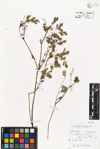 SW_BNB_s3020-00437_IMG-0000000001