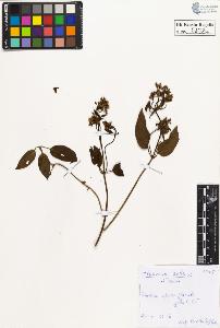 SW_BNB_s3020-00442_IMG-0000000001