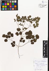 SW_BNB_s3020-00445_IMG-0000000001