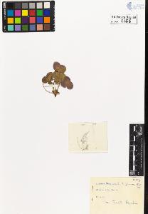 SW_BNB_s3020-00449_IMG-0000000001
